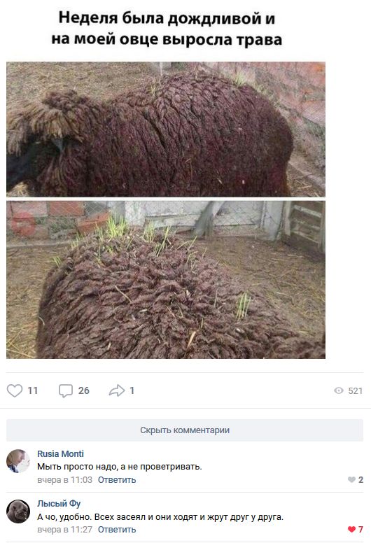 Подборка приколов из социальных сетей