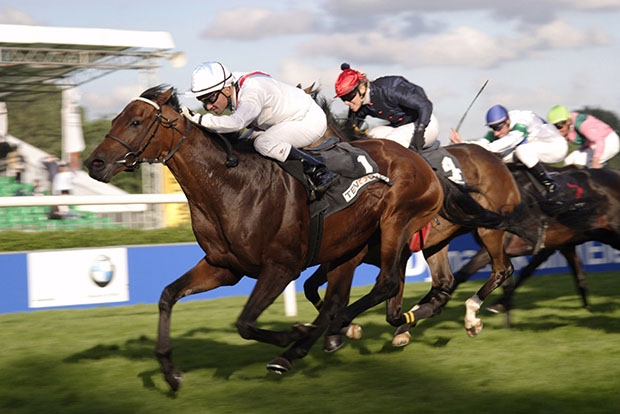 10 спортивных альтернатив светским раутам