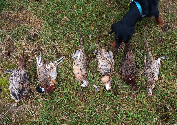 10 спортивных альтернатив светским раутам