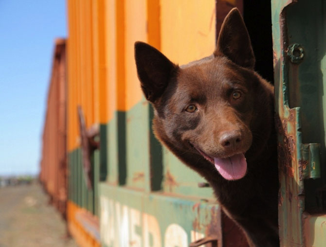 20 фильмов, от которых нам хочется жить 20 фильмов, от которых нам хочется жить