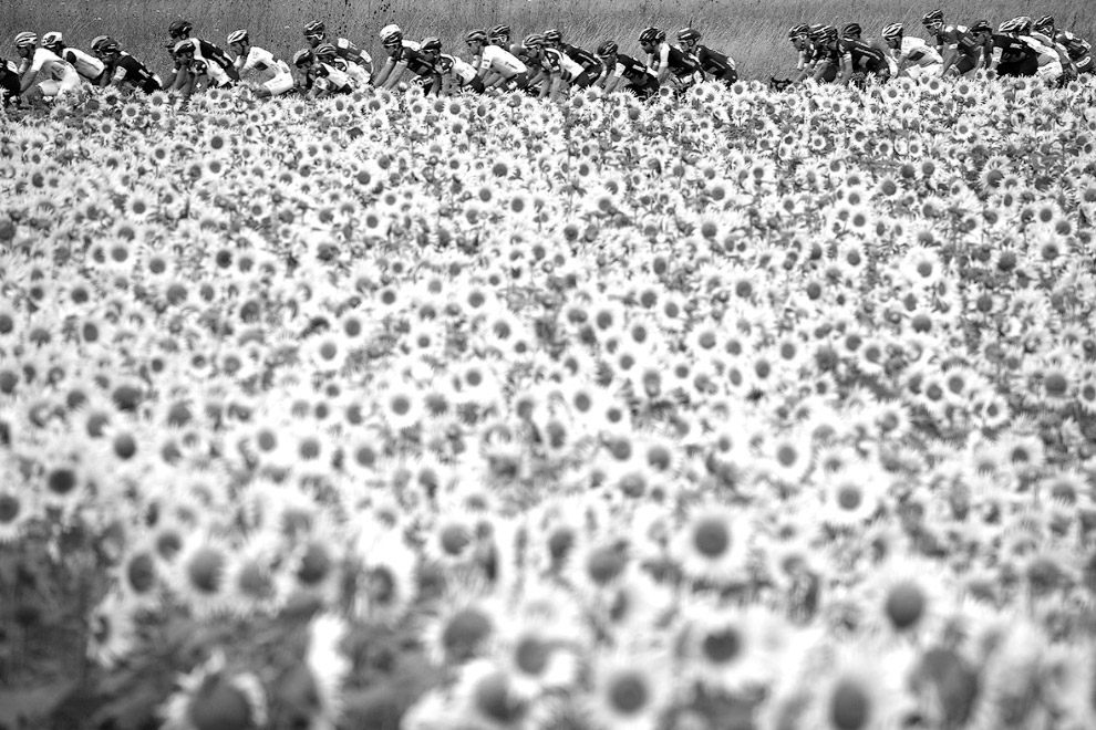 Как проходила ежегодная велогонка «Тур де Франс» 2017