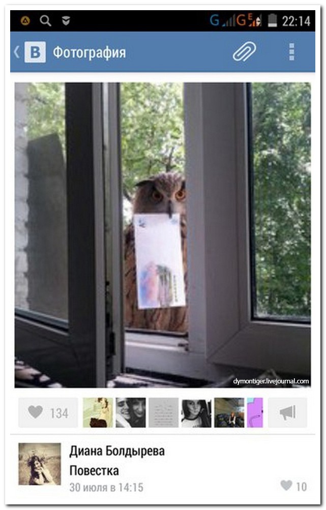 Смешные комментарии из социальных сетей