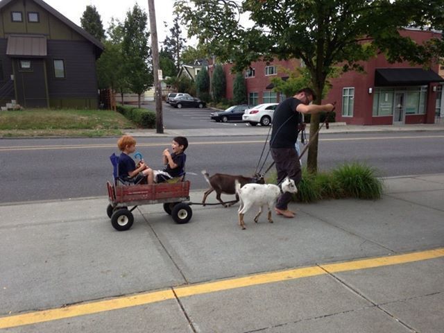 Прикольные картинки