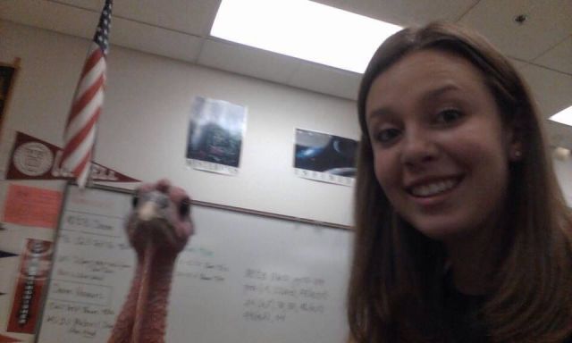 Прикольные картинки