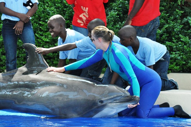 Интересные факты о дельфинах