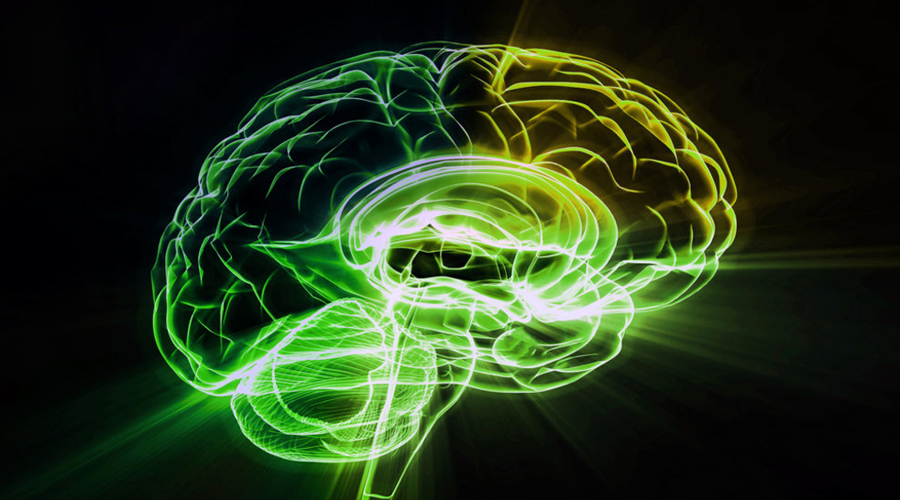 Фитнес, который сделает вас умнее