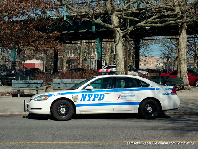 Автомобили нью-йоркской полиции (36 фото)