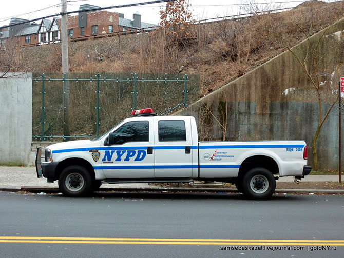Автомобили нью-йоркской полиции (36 фото)