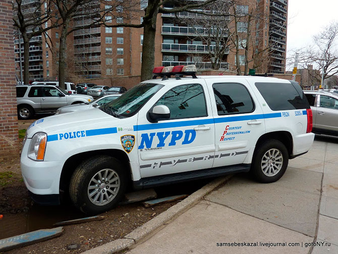 Автомобили нью-йоркской полиции (36 фото)