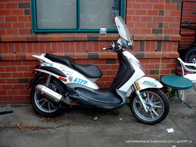 Автомобили нью-йоркской полиции (36 фото)