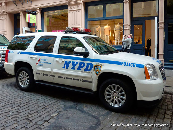 Автомобили нью-йоркской полиции (36 фото)