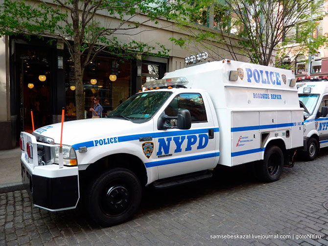 Автомобили нью-йоркской полиции (36 фото)