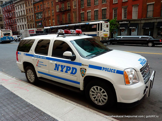 Автомобили нью-йоркской полиции (36 фото)