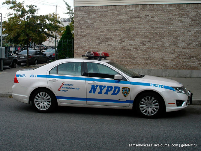 Автомобили нью-йоркской полиции (36 фото)