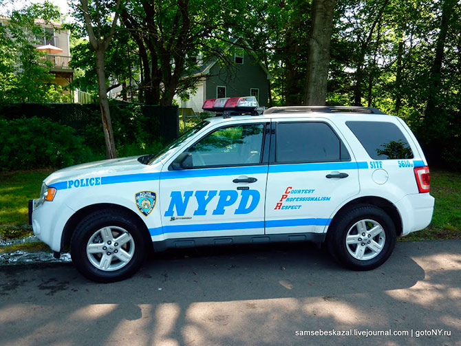 Автомобили нью-йоркской полиции (36 фото)