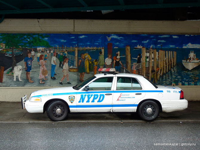 Автомобили нью-йоркской полиции (36 фото)