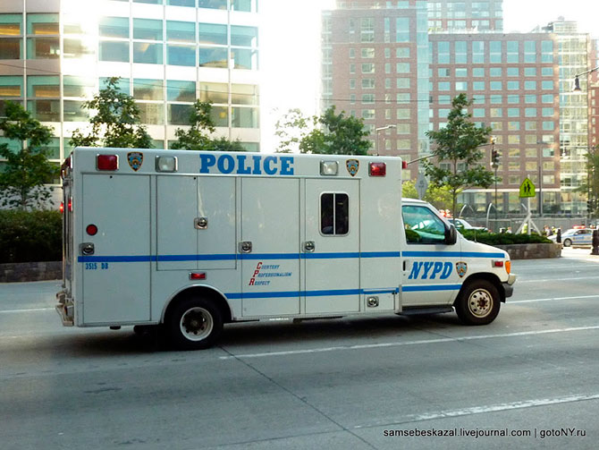 Автомобили нью-йоркской полиции (36 фото)