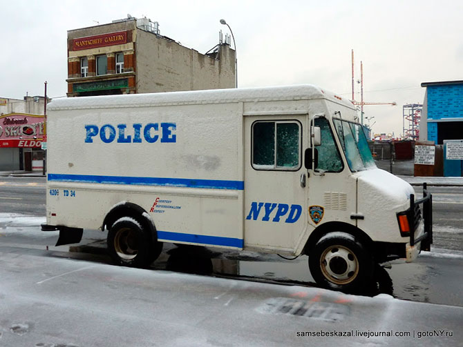 Автомобили нью-йоркской полиции (36 фото)