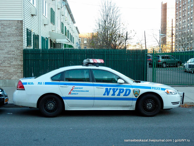 Автомобили нью-йоркской полиции (36 фото)