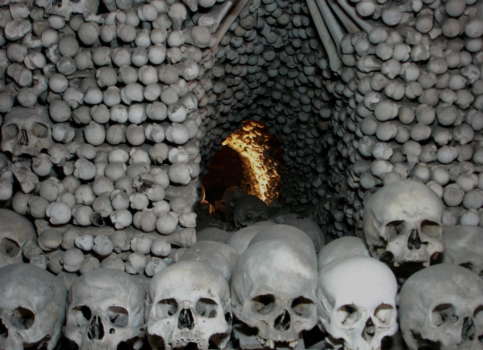 Черепа и Кости Черепа и Кости