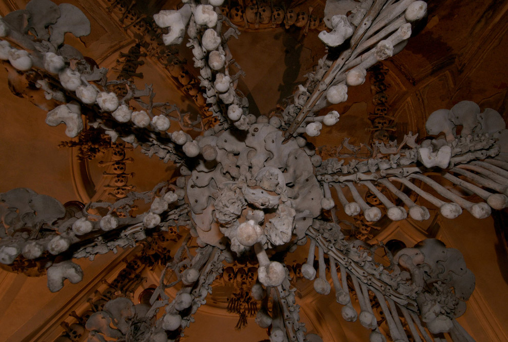 Черепа и Кости Черепа и Кости