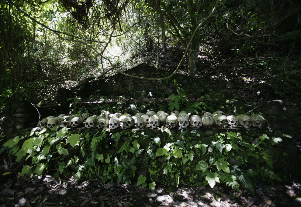 Черепа и Кости Черепа и Кости