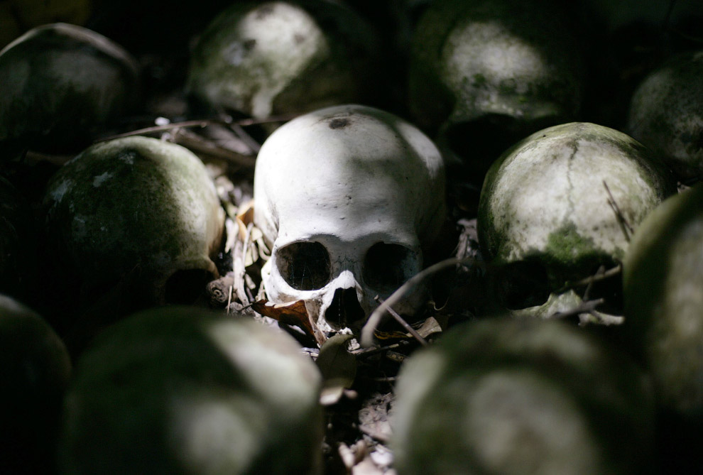 Черепа и Кости Черепа и Кости