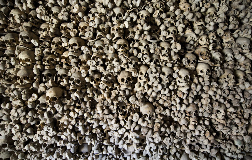 Черепа и Кости Черепа и Кости