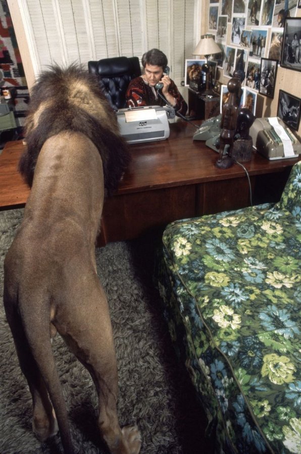 Мелани Гриффит и лев Нил