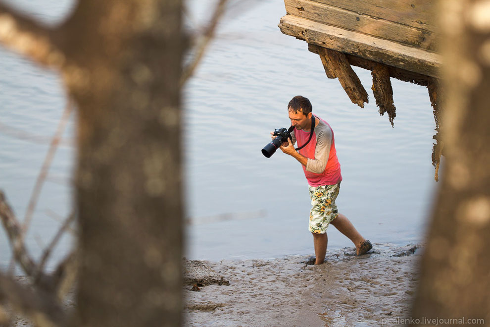 Илистые прыгуны