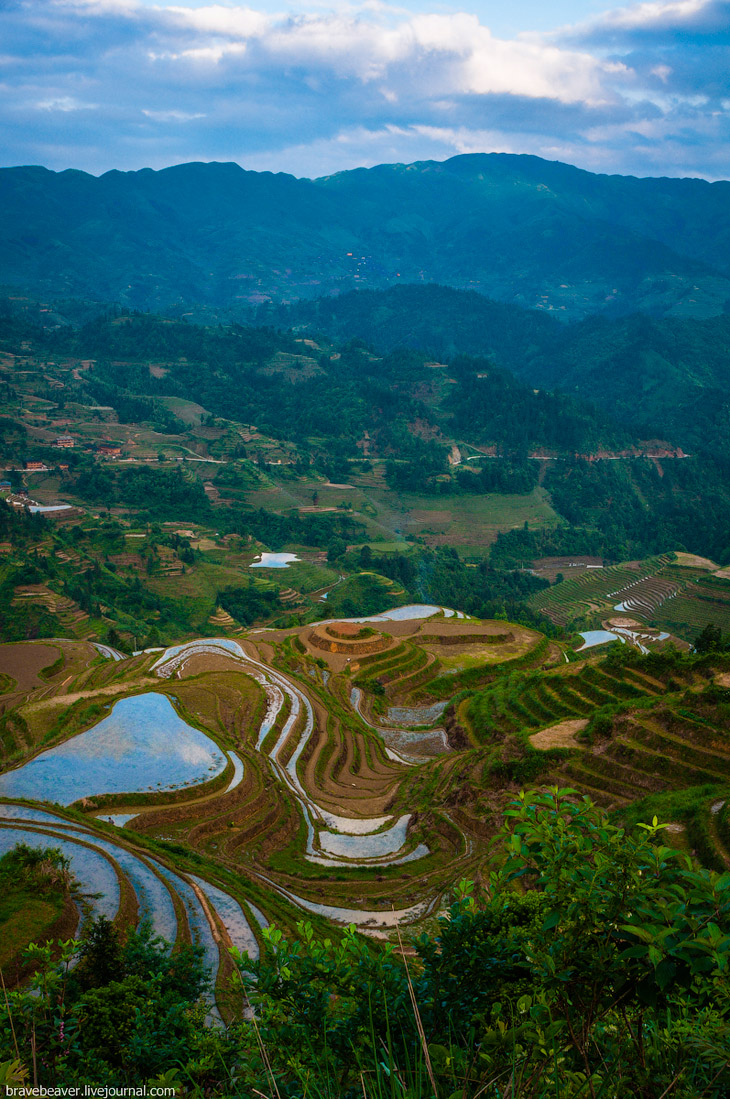 Рисовые террасы в Лонгшень Рисовые террасы в Лонгшень
