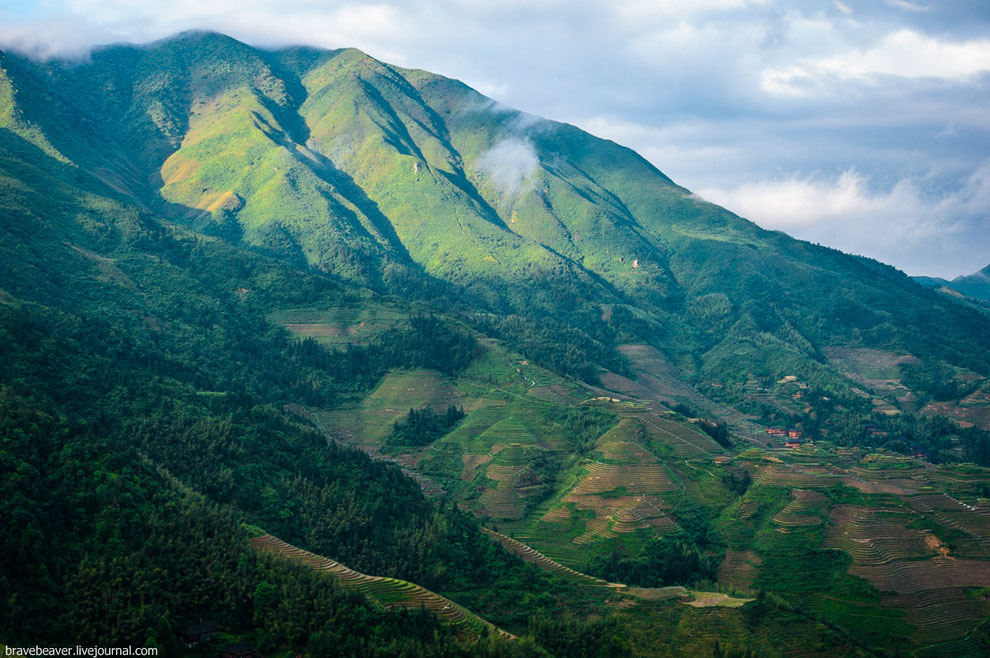 Рисовые террасы в Лонгшень Рисовые террасы в Лонгшень