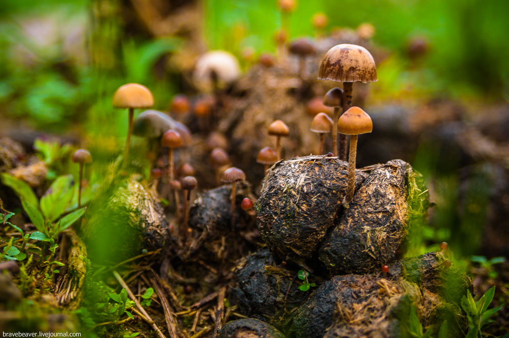 Рисовые террасы в Лонгшень Рисовые террасы в Лонгшень