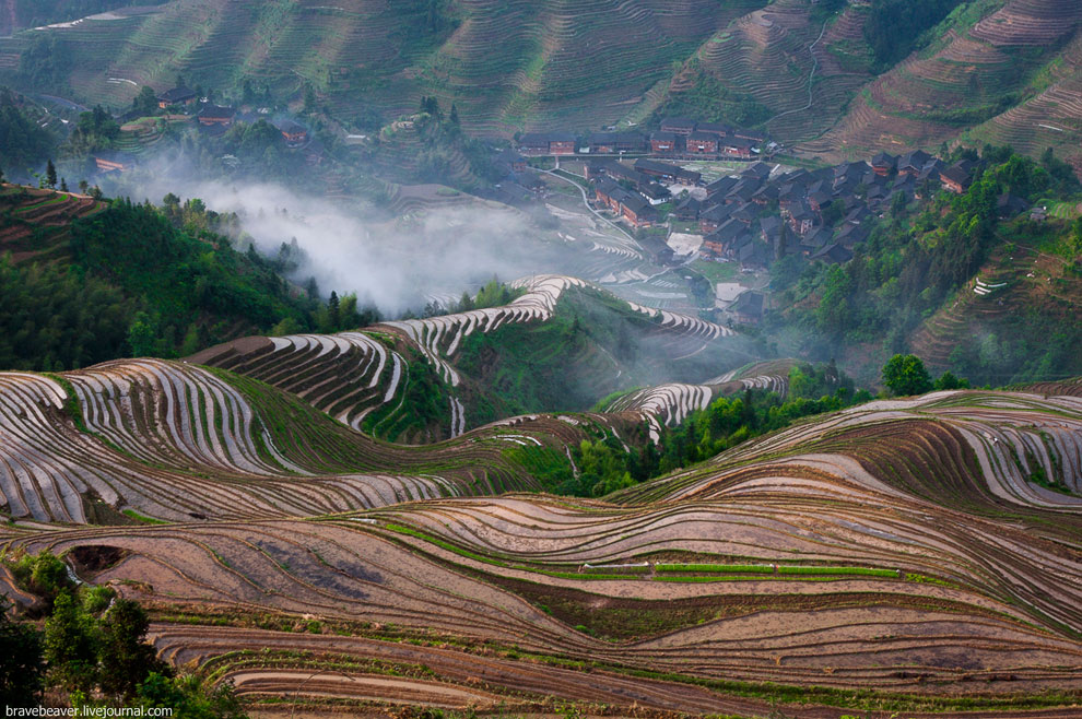 Рисовые террасы в Лонгшень Рисовые террасы в Лонгшень