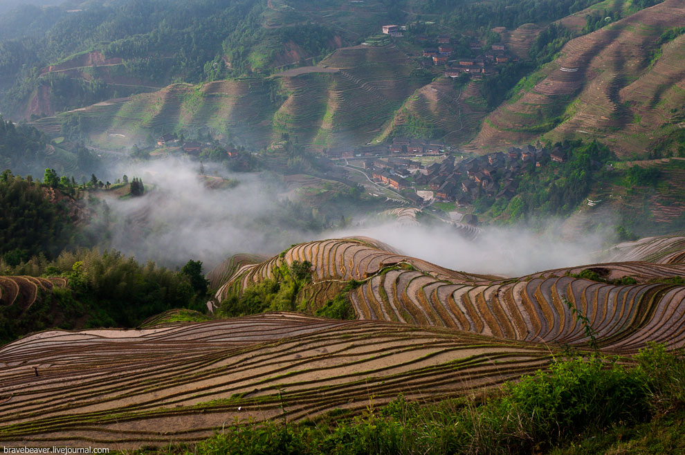 Рисовые террасы в Лонгшень Рисовые террасы в Лонгшень