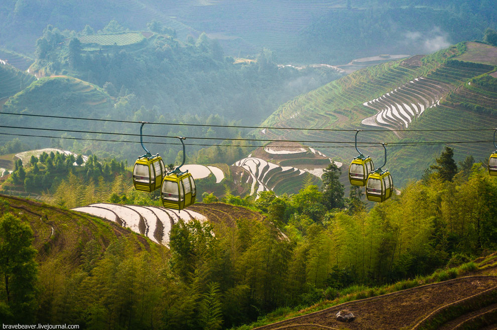 Рисовые террасы в Лонгшень Рисовые террасы в Лонгшень