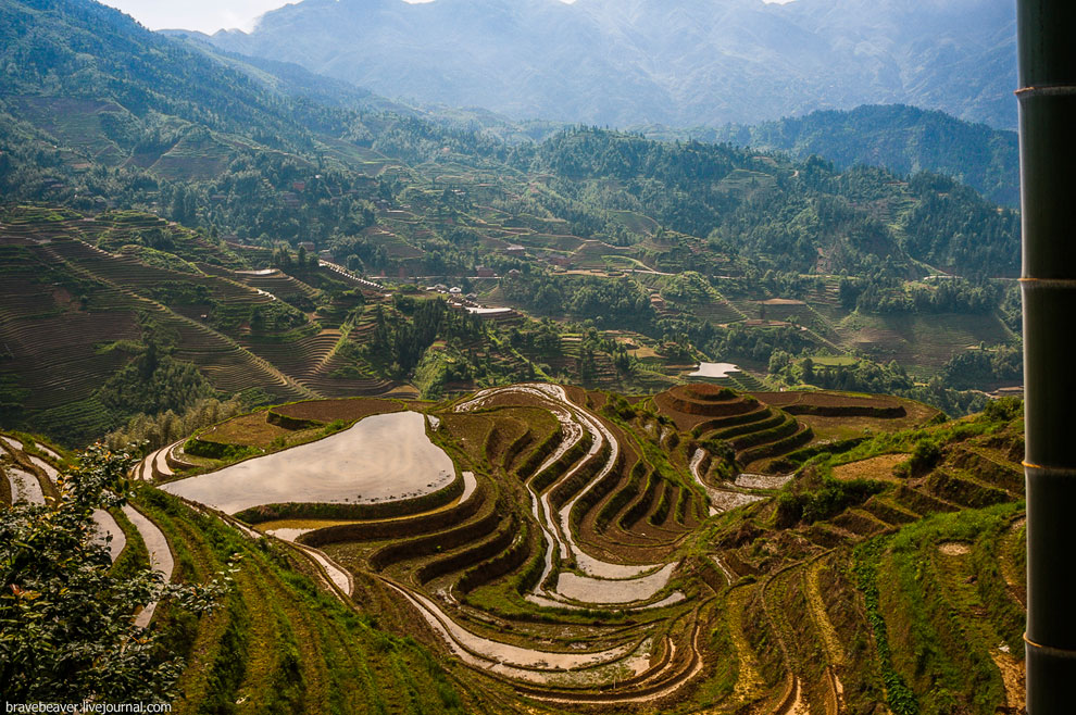 Рисовые террасы в Лонгшень Рисовые террасы в Лонгшень