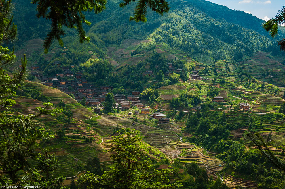 Рисовые террасы в Лонгшень Рисовые террасы в Лонгшень