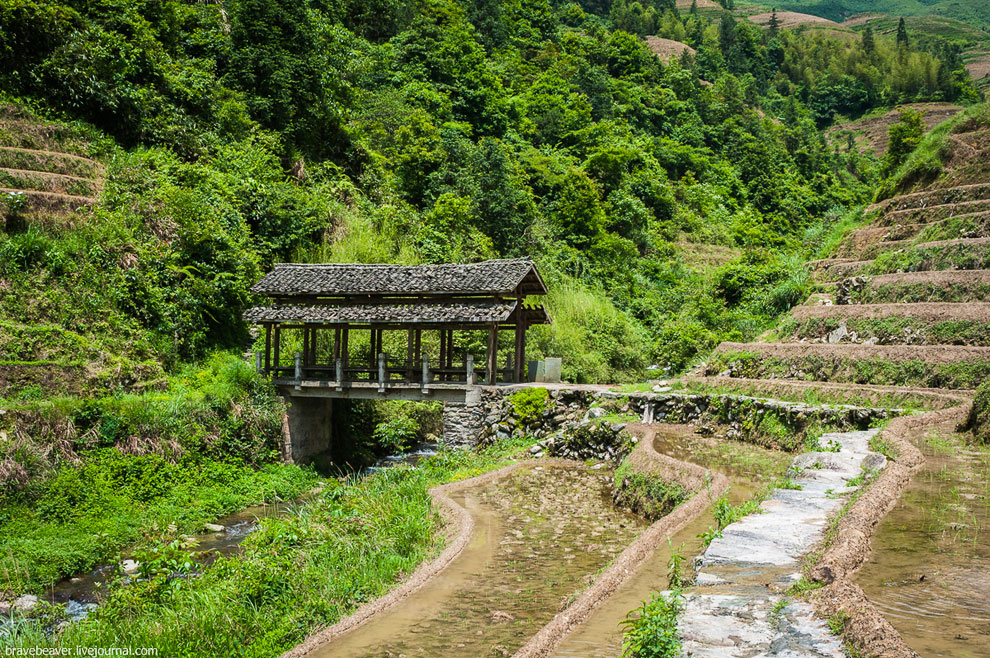 Рисовые террасы в Лонгшень Рисовые террасы в Лонгшень