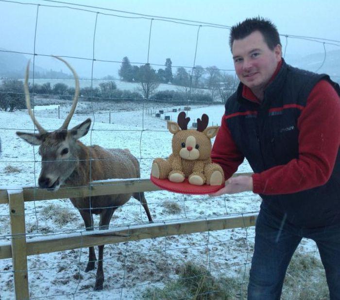 Прикольные картинки