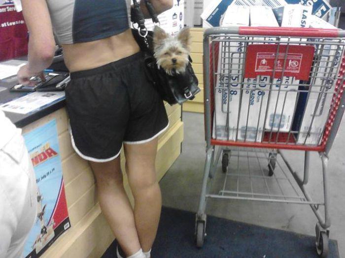 Прикольные картинки