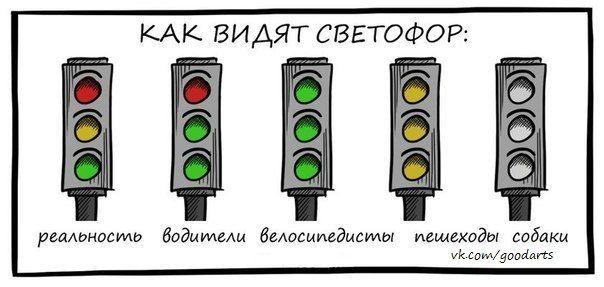 Прикольные картинки