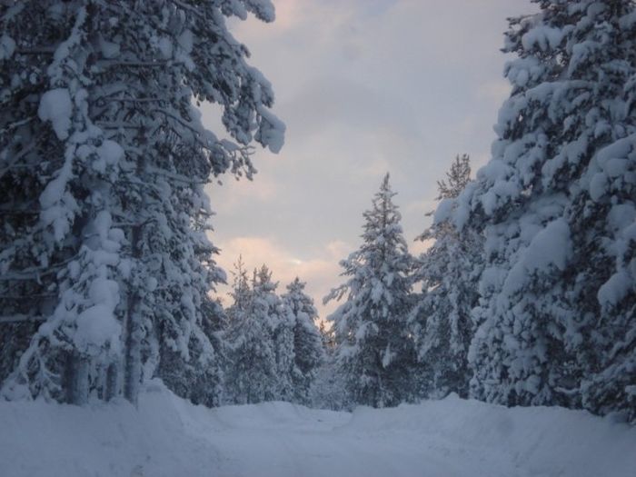 Смертельно опасные заблуждения Смертельно опасные заблуждения