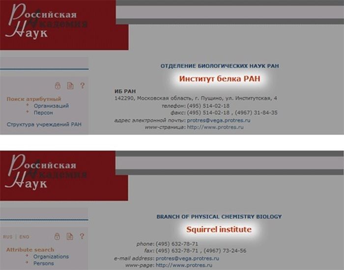 Трудности перевода