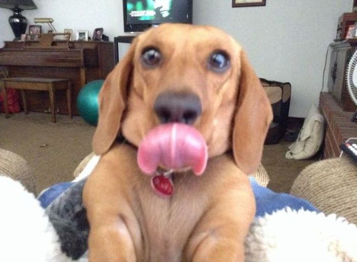 Прикольные картинки (64 фото)