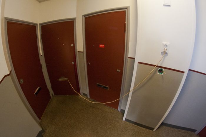 Прикольные картинки (64 фото)