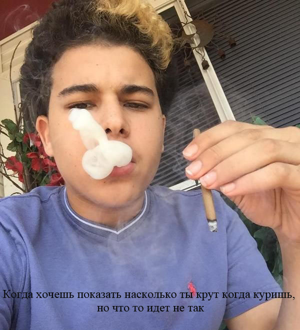 Прикольные картинки (64 фото)