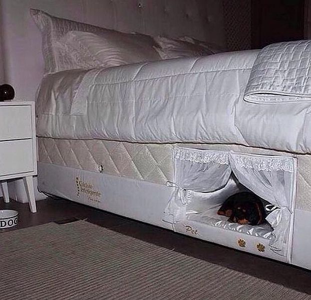 Прикольные картинки (64 фото)