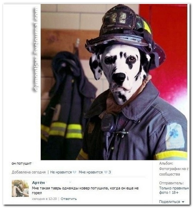 Смешные комментарии из социальных сетей