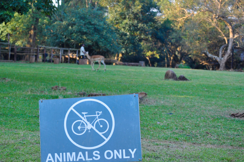 Есть такая страна — Свазиленд